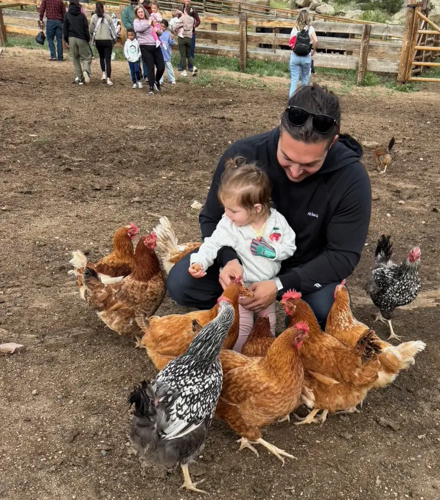 An adult and child visiting chickens together at Family Camp